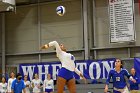 Wheaton Women's Volleyball  Wheaton Women's Volleyball vs Smith College. - Photo by Keith Nordstrom : Wheaton, Volleyball, Smith